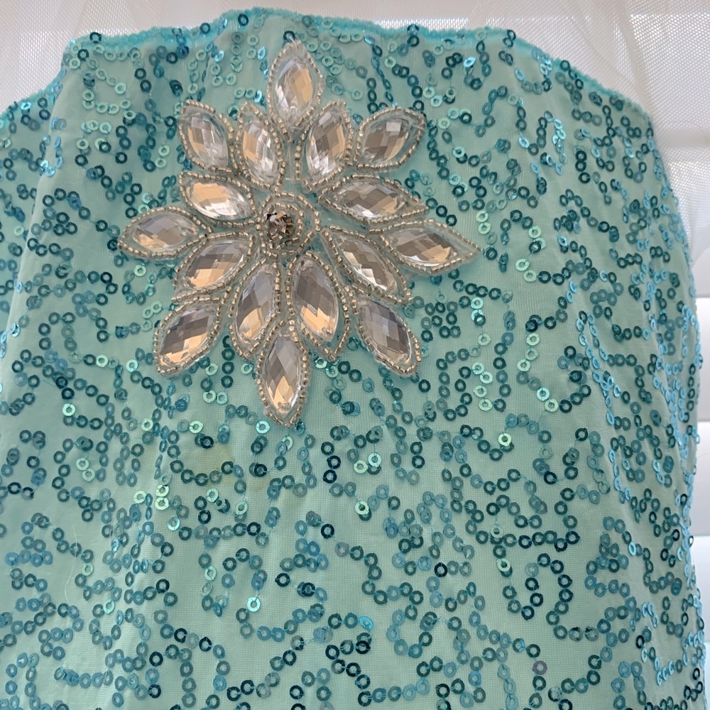 Beautiful frozen queen dress